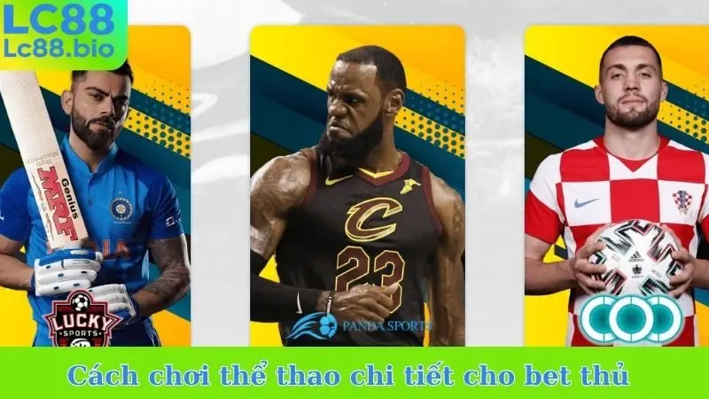Cách chơi thể thao chi tiết cho bet thủ